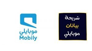 شريحة بيانات موبايلي 17 شهر